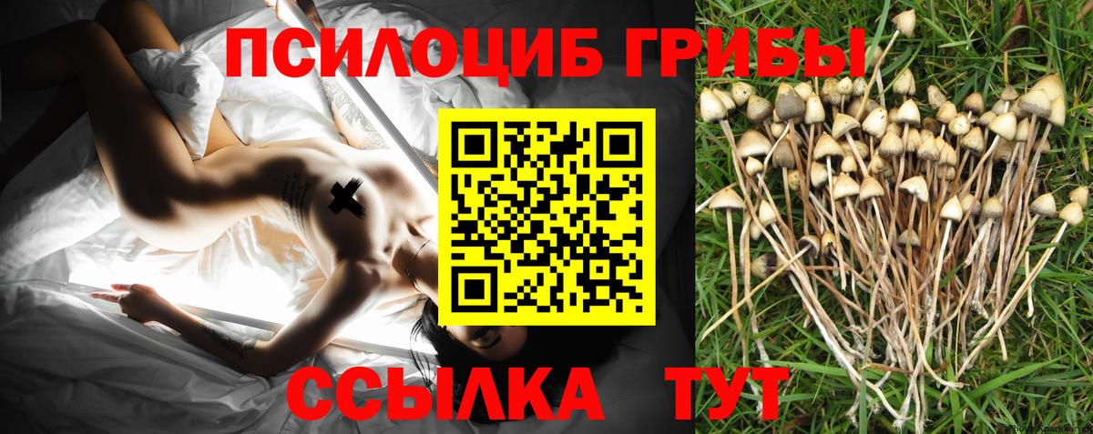 Галлюциногенные грибы прущие грибы Майкоп