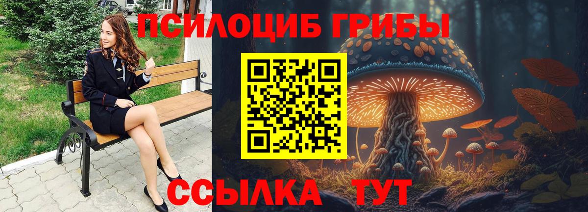 Псилоцибиновые грибы мицелий  где найти   Майкоп  Вход с VPN 