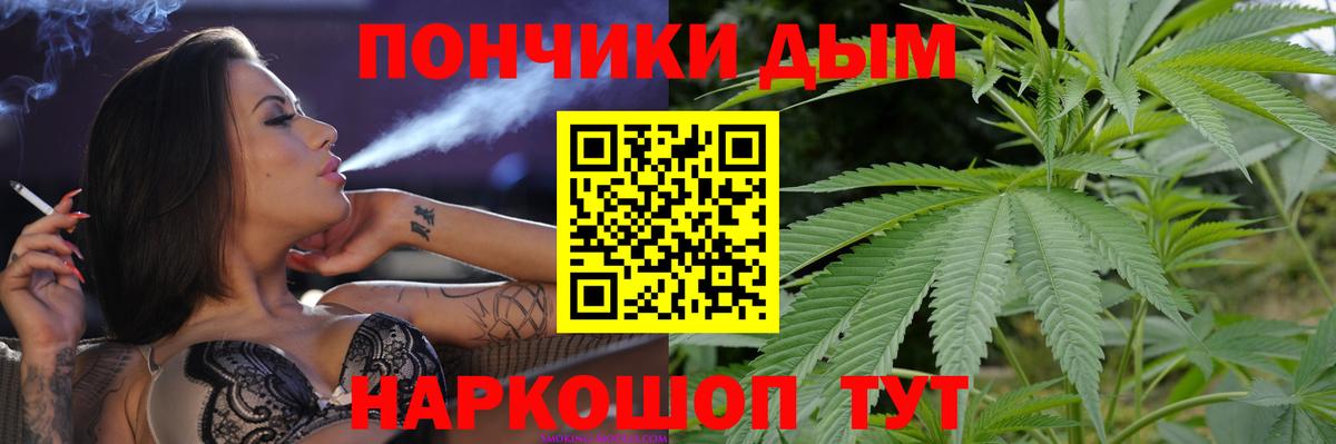 Конопля гибрид Майкоп